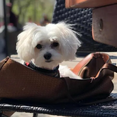 Apartment White Sky 26 Hanza Tower Pool Jacuzzi Sauna *