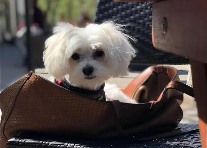 アパート White Sky 26 Hanza Tower Pool Jacuzzi Sauna *